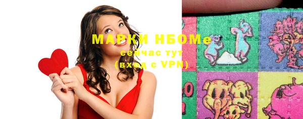 индика Новодвинск