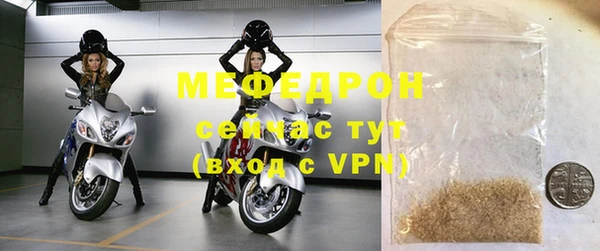 гашик Няндома