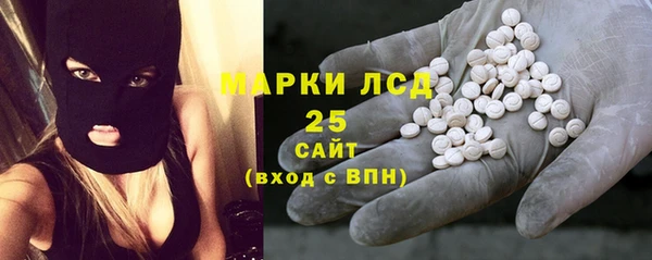 индика Новодвинск