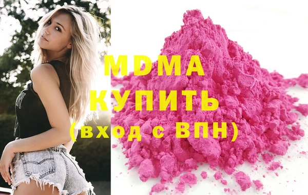 индика Новодвинск