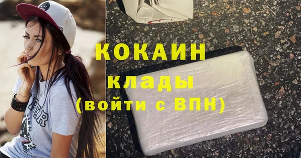 индика Новодвинск