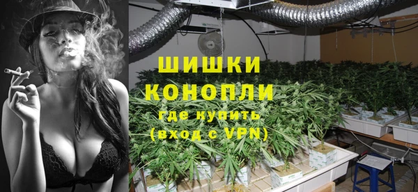 индика Новодвинск