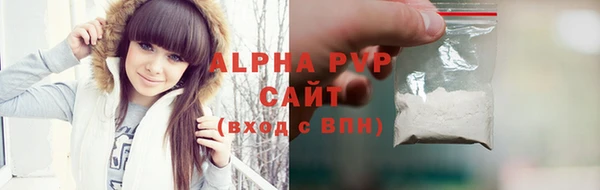 индика Новодвинск