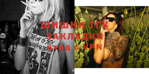 индика Новодвинск