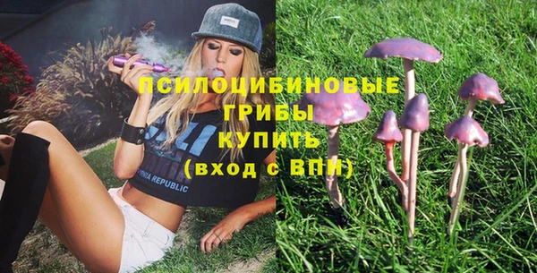 таблы Новозыбков