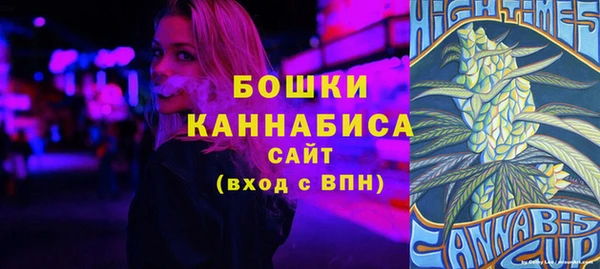 индика Новодвинск
