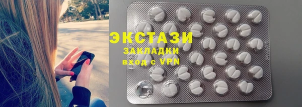 индика Новодвинск
