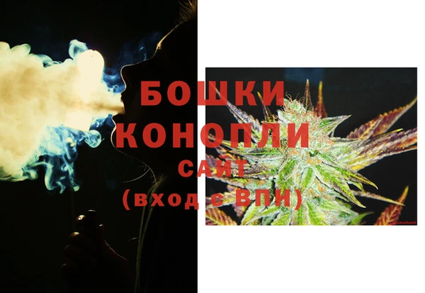 дмт Гусев