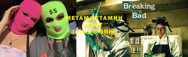 индика Новодвинск