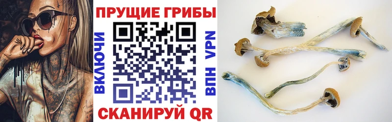 Псилоцибиновые грибы GOLDEN TEACHER  Александровск-Сахалинский 